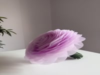 مسكة عروس - رقه