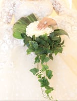 مسكة عروس - الفرنسيه