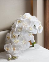 مسكة عروس - سنو وايت