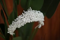 تاج عروسه - رواء