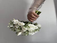 مسكة عروس - نانو