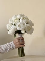 مسكة عروس - بونيا