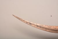 سيف الدن رينج Blood hound fang