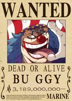 بوستر اليونكو باغي