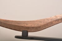 سيف الدن رينج Blood hound fang