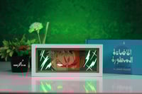 الاضاءة المطورة | زورو