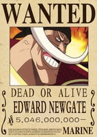 بوستر اللحية البيضاء