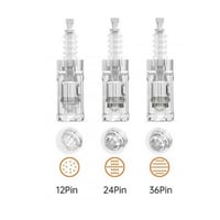 ديرما بن كينسي بيوتي A6