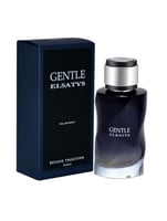 عطر جينتل إلساتيس رجالي 100 مل