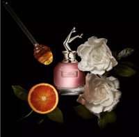 عطر جان بول غوتييه سكاندال او دي بارفيوم 80 مل