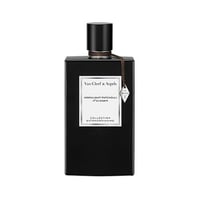 تستر عطر فان كليف آند آربلز مونلايت باتشولي أو دي...