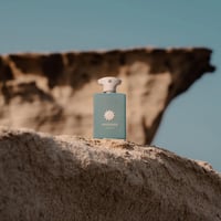 عطر امواج سيرش أو دي بارفيوم 100 مل