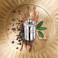 عطر ازارو وانتد او دو بارفيوم 100 مل