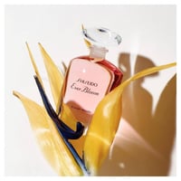 عطر شيسيدو إيفربلوم أو دو بارفيوم 90 مل