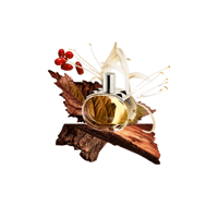 عطر هيرمس بارينيا او دو بارفيوم 100 مل