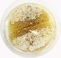 عسل الضهياء مع السدر بالشمع (قابل للتبلور) 600 جم