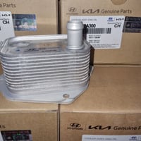 مبرد الزيت 300