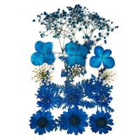 ورد مجفف مجموعة رقم 7