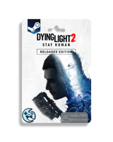 باكج داينق لايت - حساب مشترك ( ستيم )