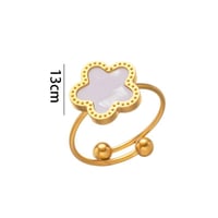 خاتم فان كليف من الستانلس ستيل