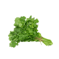 كزبرة 1 ربطة