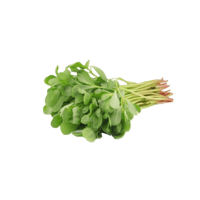 رجلة 1 ربطة