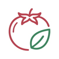 بندورة