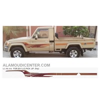 خط شطرطون جانبي شاص 2011 اصلي وكالة