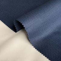 شتوي الخلية الجديدة