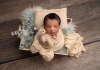 ورشة تدريبية متخصصة في تصوير حديث الولادة