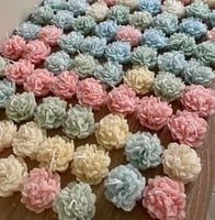 20 حبة من شموع زهرة القرنفل