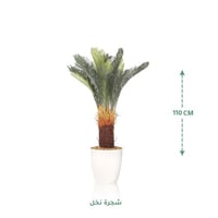ابيض