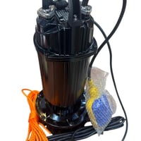 غطاس 1 حصان ايطالي