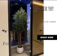 شجر زيتون صناعي بجذع طبيعي شكل طولي ارتفاع مترين و...