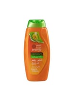 شامبو وبلسم بخلاصة الصبار والشمام للشعر المتساقط م...