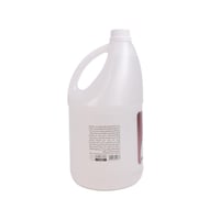 زيت مساج طبيعي من سبا سيستم - جالون