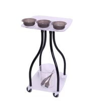 عربة تنظيم تحضير صبغات الشعر من صالون سيستم - مودي...