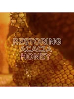 ماسك مرمم بعسل الأكاسيا من غارنييه ألترا دوكس - 34...