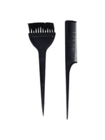 فرشاة صبغة شعر مع مشط من صالون سيستم - قطعتين