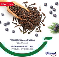 معجون اسنان كومبليت بالقرنفل من سيجنال - 75 مل