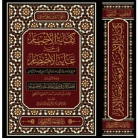 كفاية الاخيار في حل غاية الاختصار ومعه تحفة الابرا...