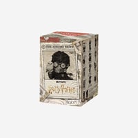 1PC Single Box