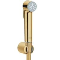 جروهي شطاف ذهبي مع لي ذهبي