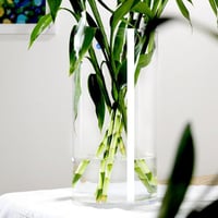 حوض زجاجي أسطواني للأسماك والتيراريوم Glass Cylind...