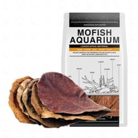 Terminalia catappa Leaves – أوراق ترميناليا كاتابا...