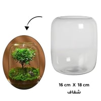حوض زجاجي أسطواني للأسماك والتيراريوم Glass Cylind...
