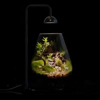 إنارة LED بقاعدة معدنية ومؤقت لأحواض الأسماك والتي...