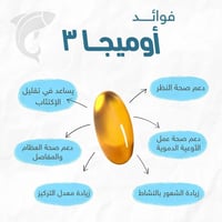 أوميغا 3 مكمل غذائي 1425 ملجم زيت سمك من هوليستا –...