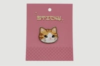 قطة برتقالية