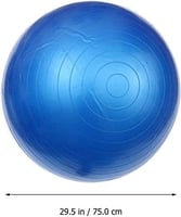 كرة تمارين رياضية مضادة للتمزق مع مضخة هوائية